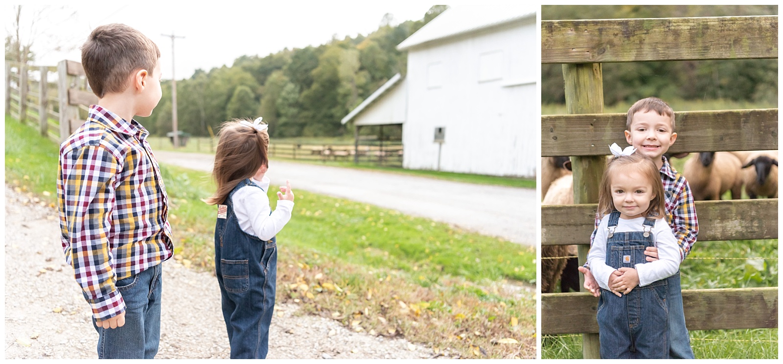 Ohio, Farm, Family, kids, friends, lifelong, sheep, photography