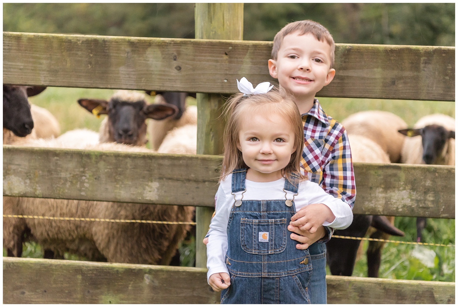 Ohio, Farm, Family, kids, friends, lifelong, sheep, photography