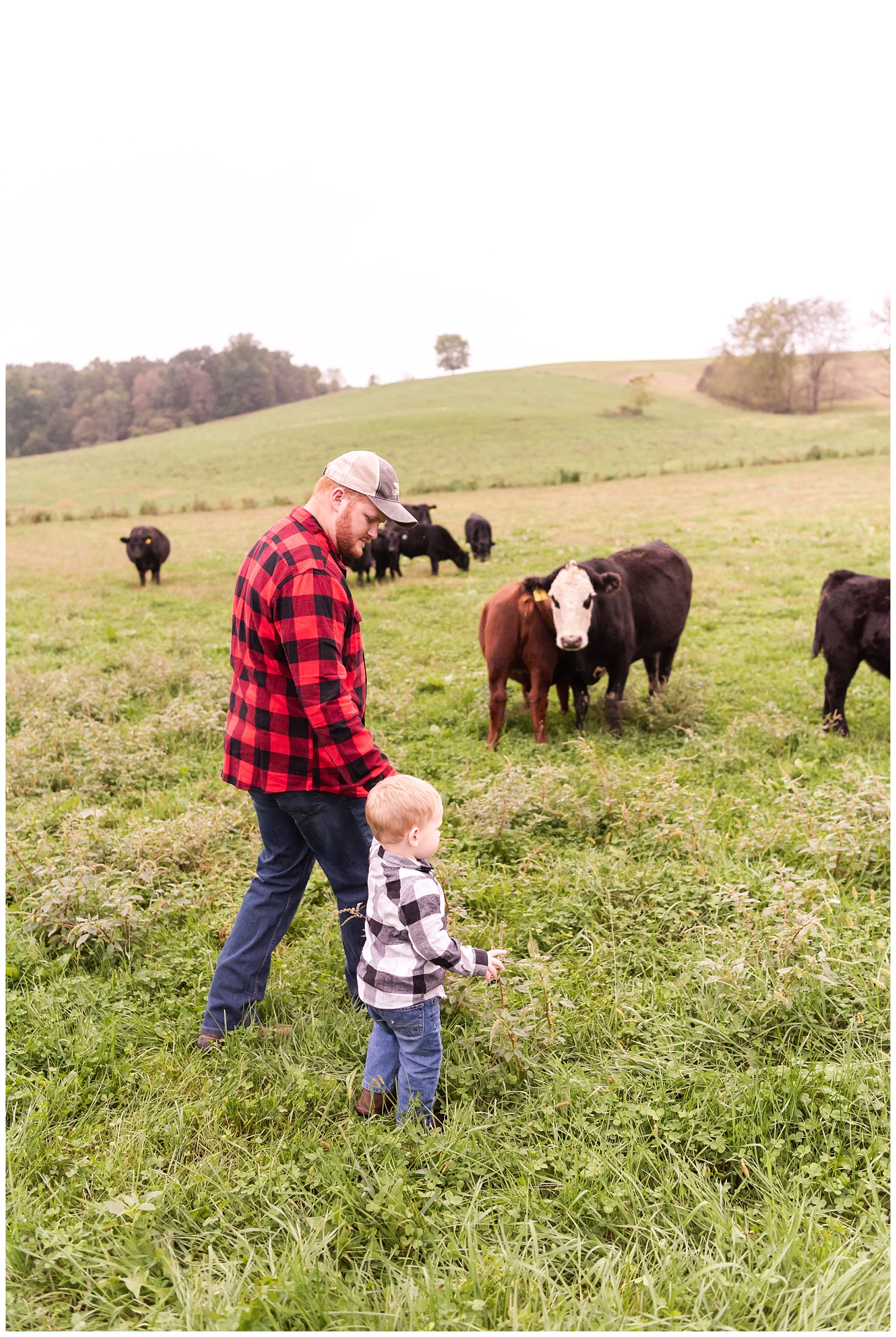Family, farm, cattle, photographer, ohio, cattle farm, kids, children,