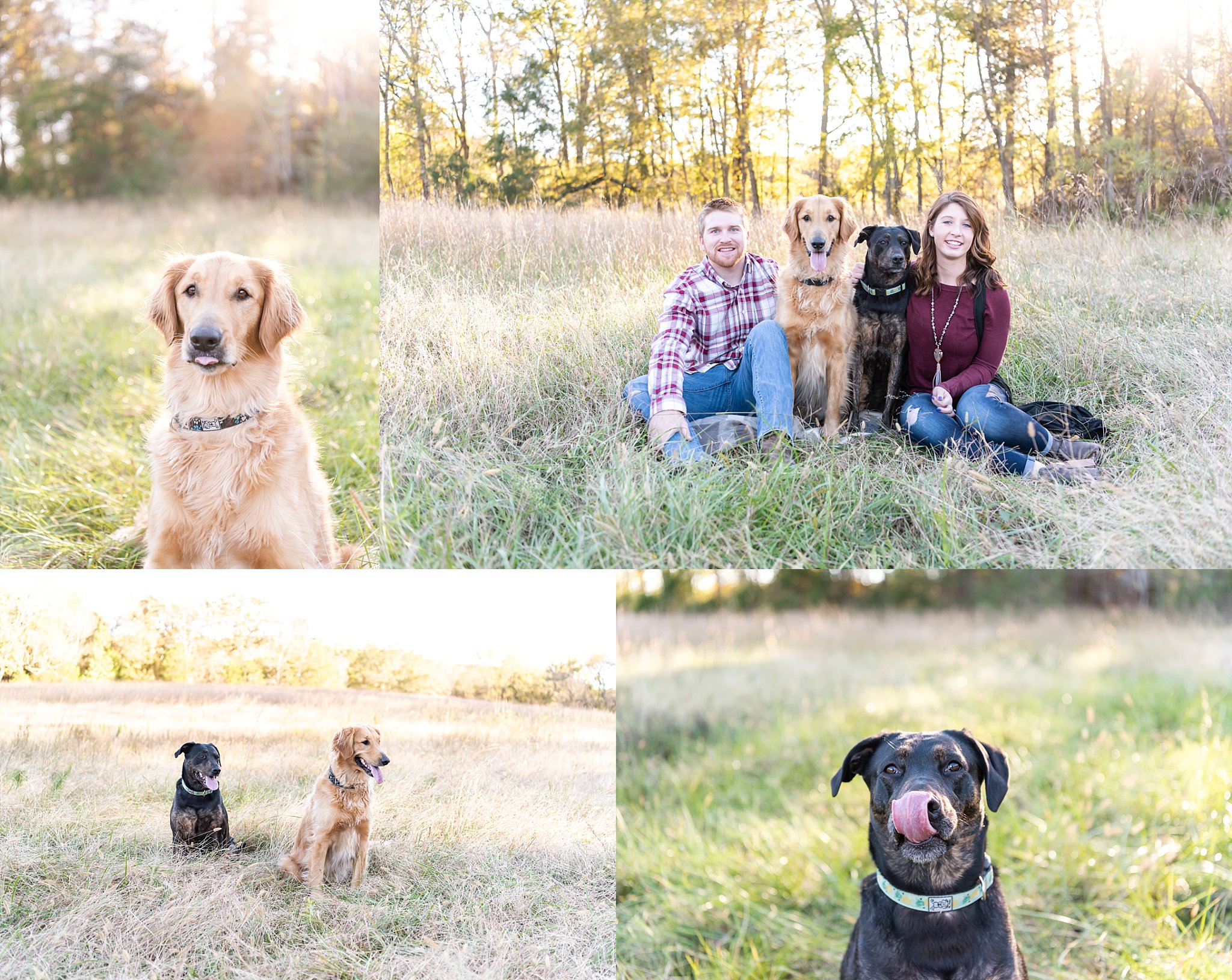 Family, Pups, Dogs, Land, Denton, NC, Racing, Extended Family, Grandma, Family Photos