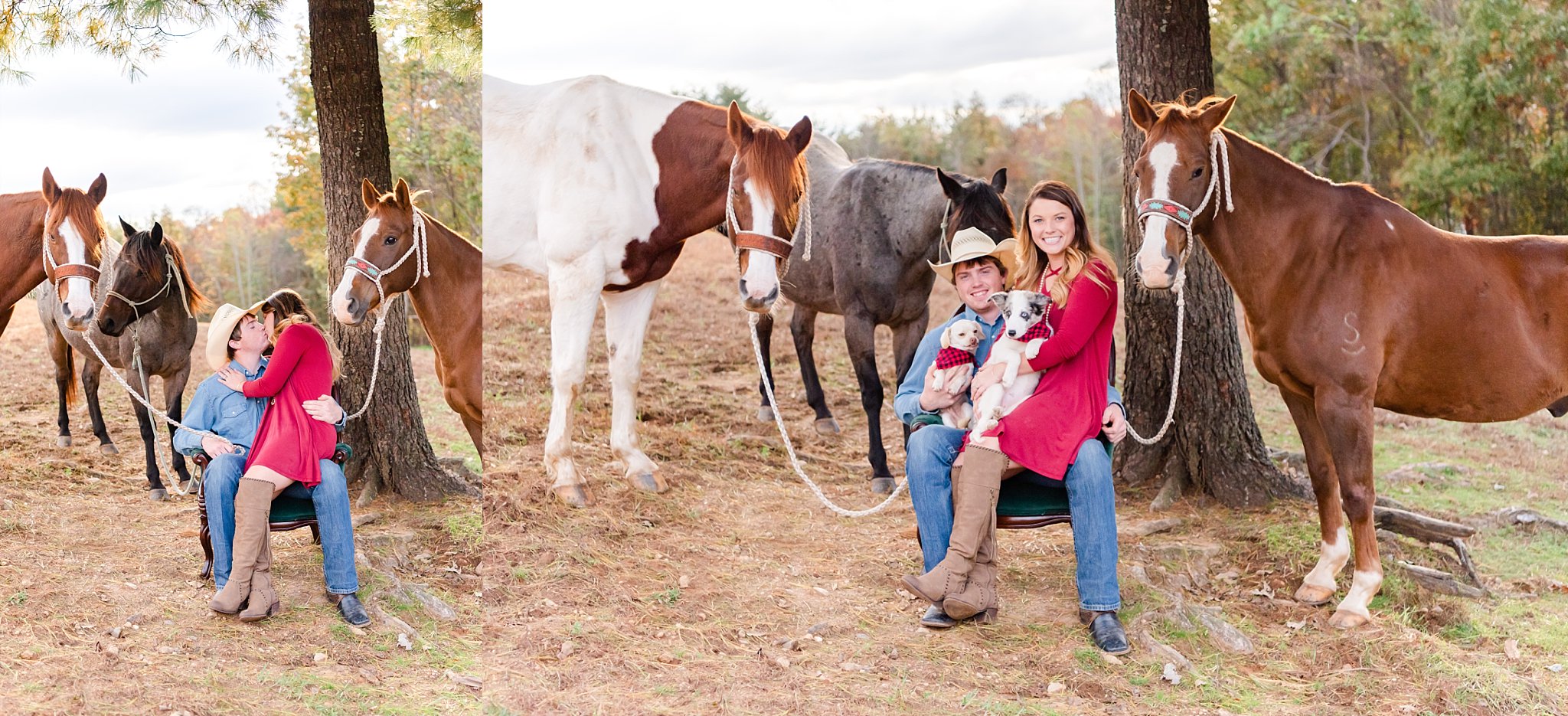family, photography, christmas, minis, photoshoot, mountains, nc, taylorsville, horse, cowboys, dogs, puppy, kids,country, rustic, farm, ranch