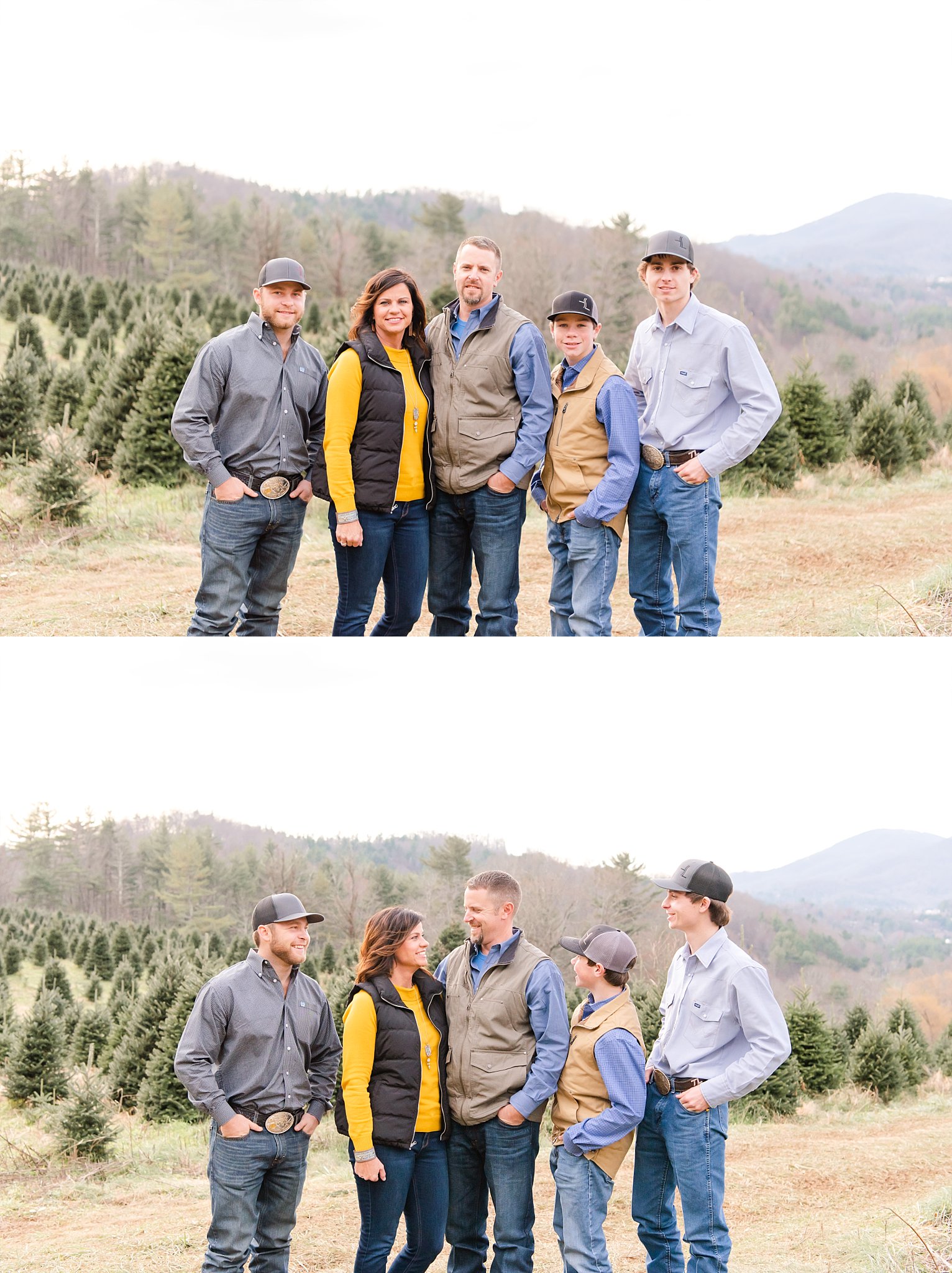 family,christmas tree, boone, blue ridge mountains, photography, christmas, minis, photoshoot, mountains, nc, taylorsville, horse, cowboys, dogs, puppy, kids,country, rustic, farm, ranch