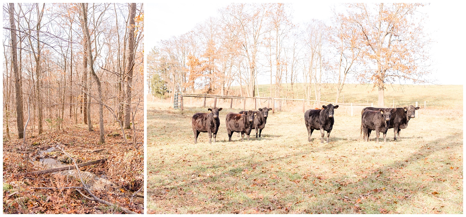 Thanksgiving at The Farm - Ohio -Tasha Barbour Photography