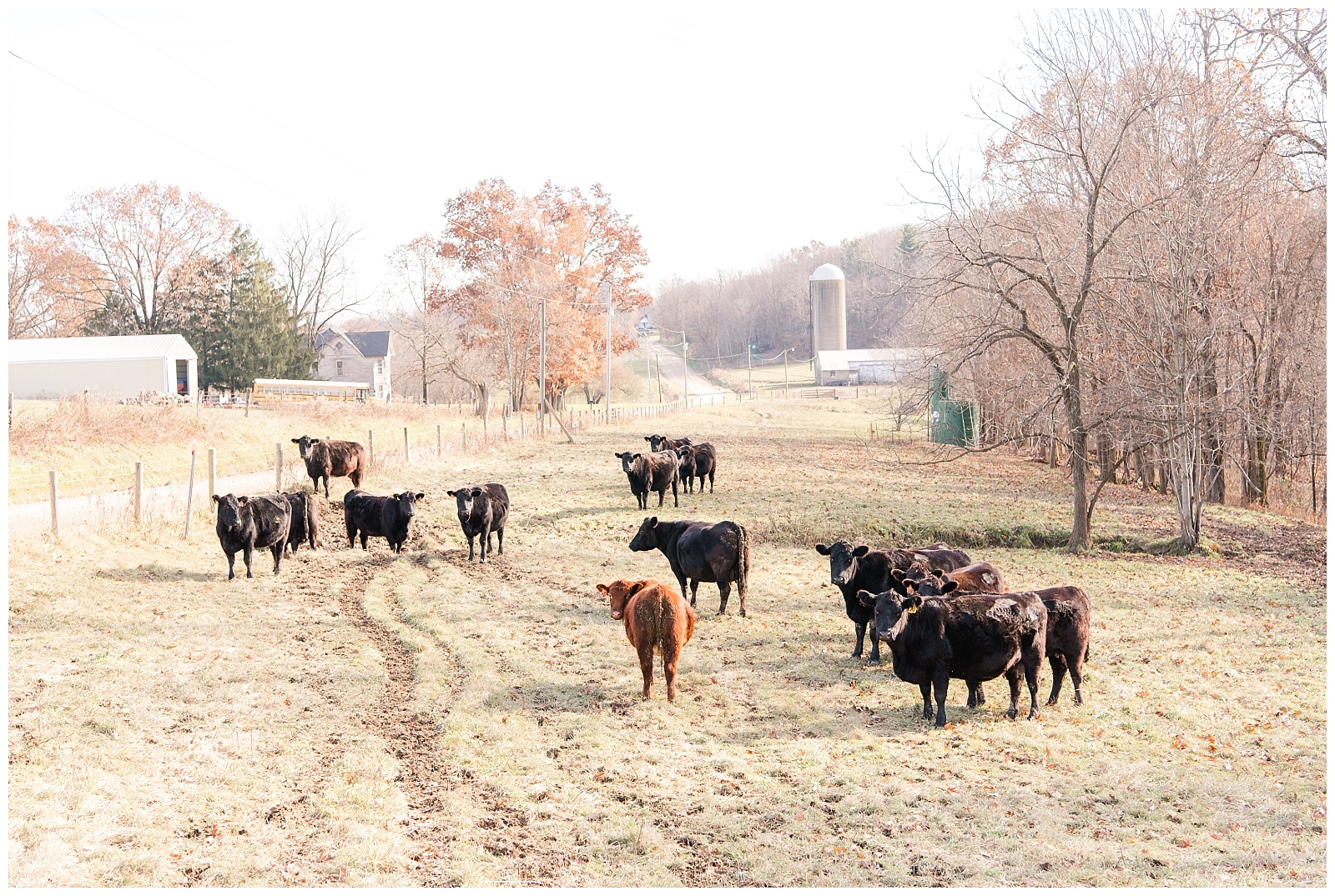 Thanksgiving at The Farm - Ohio -Tasha Barbour Photography