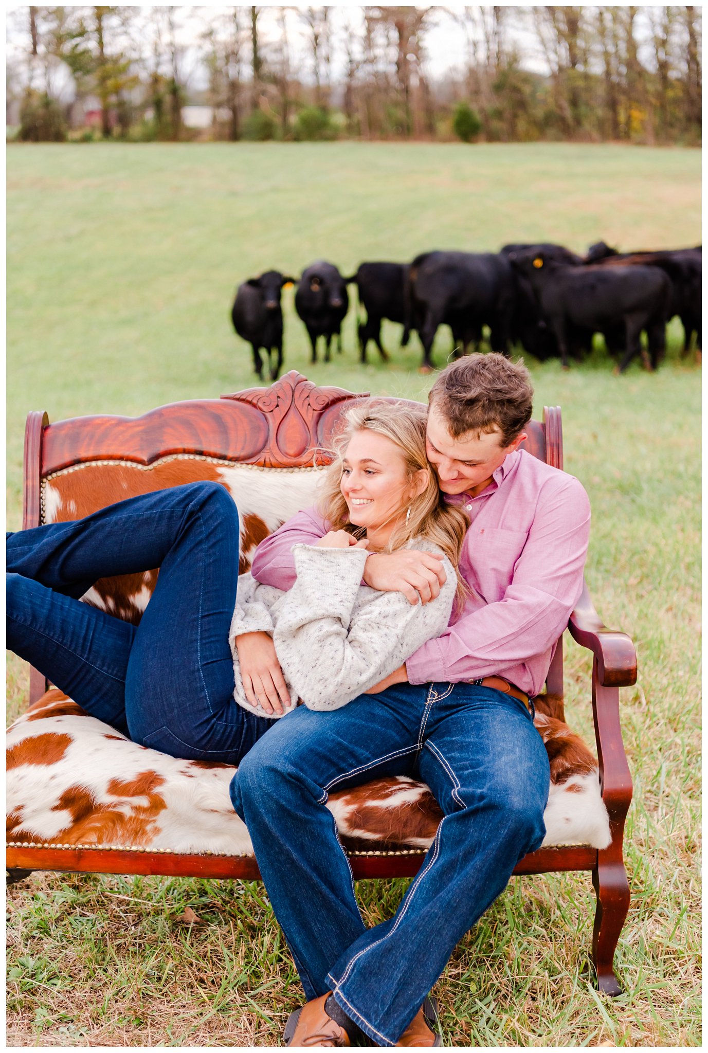 engagement photo in cattle field