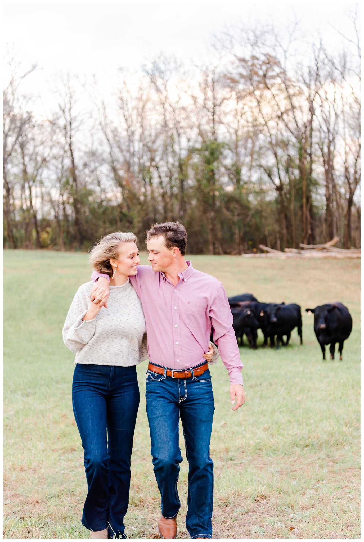 engagement photo with cows in the background