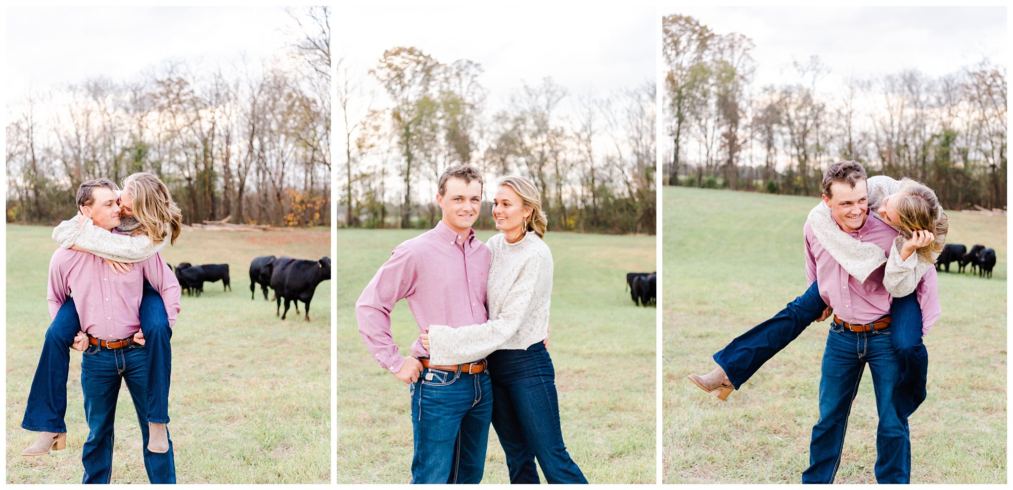 fun engagement photo collage with cows