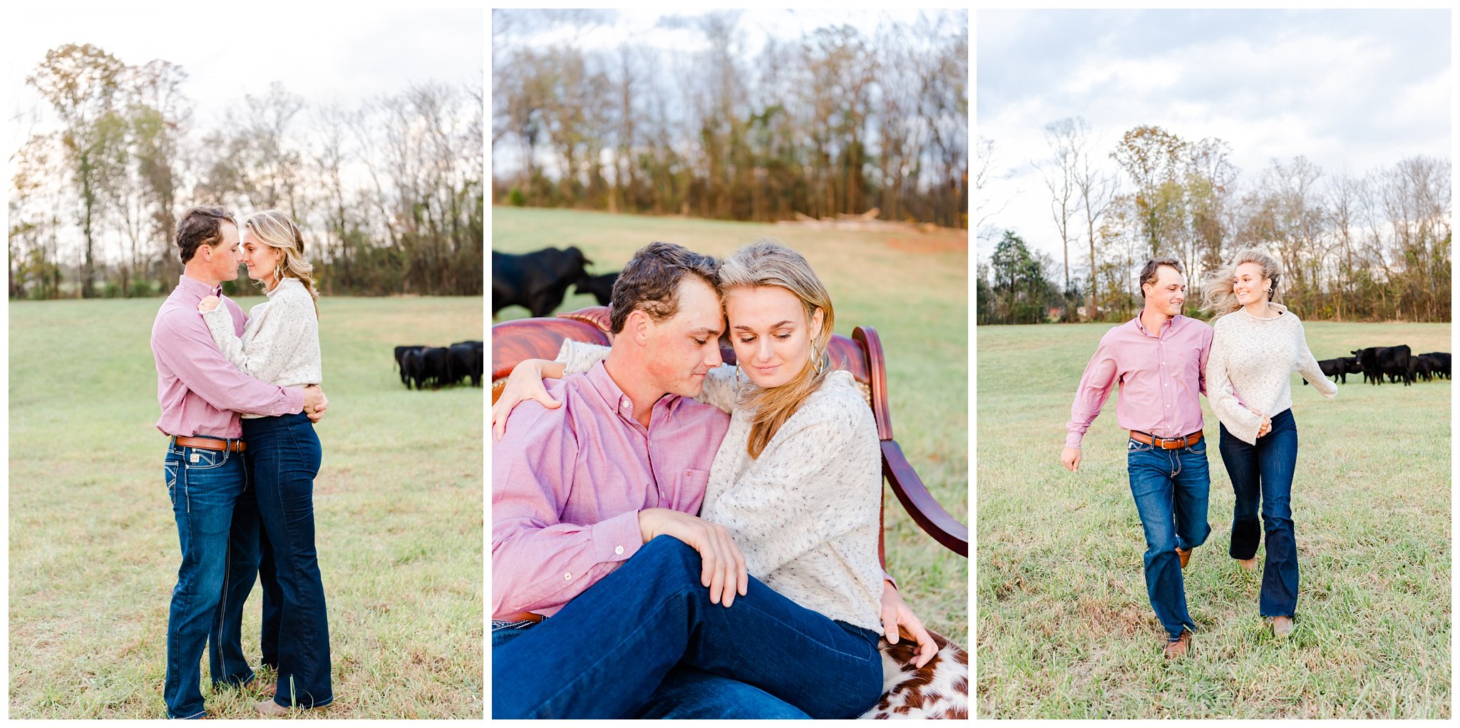 couple in cattle field for their engagement photos