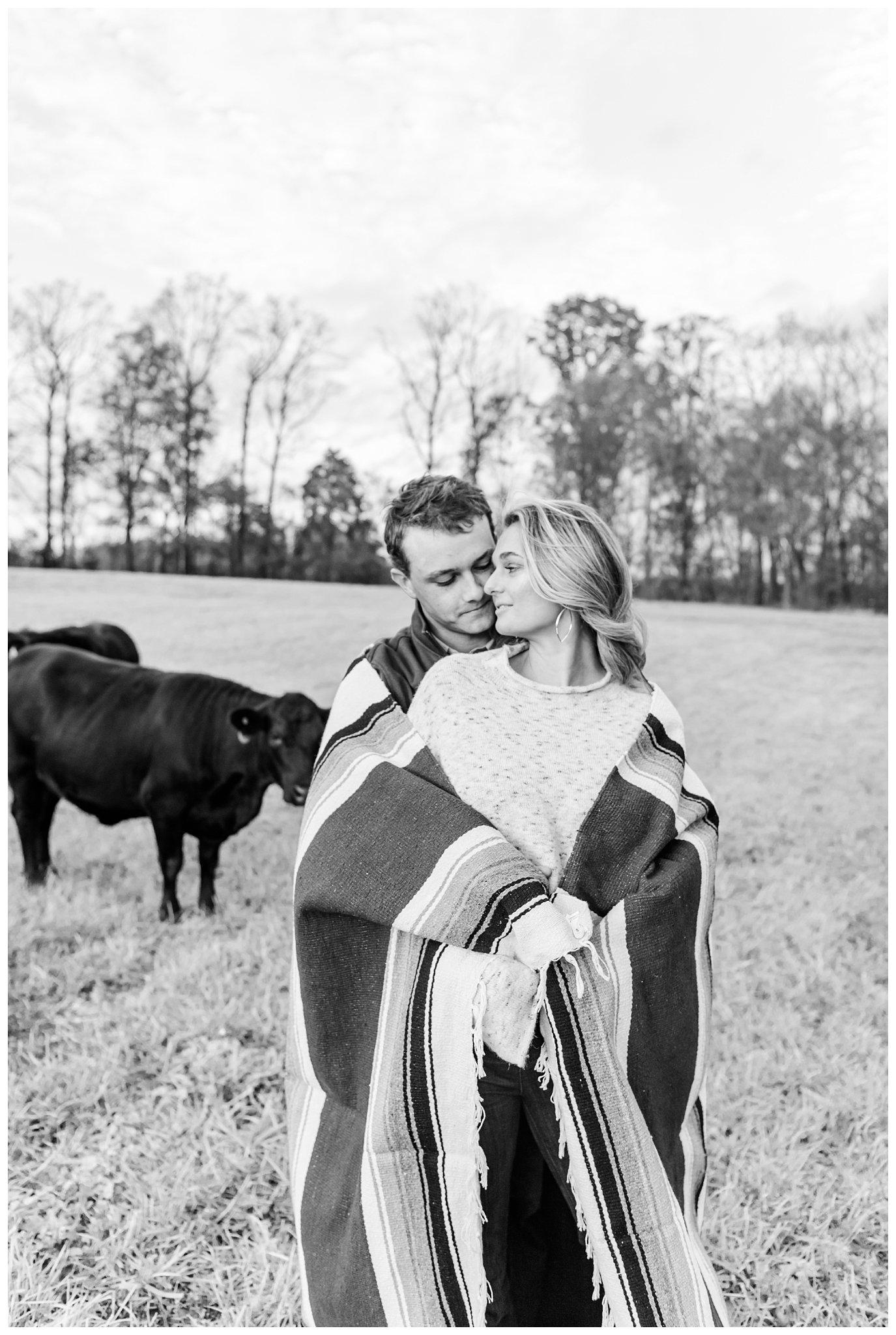 black and white engagement photo with cow in the background