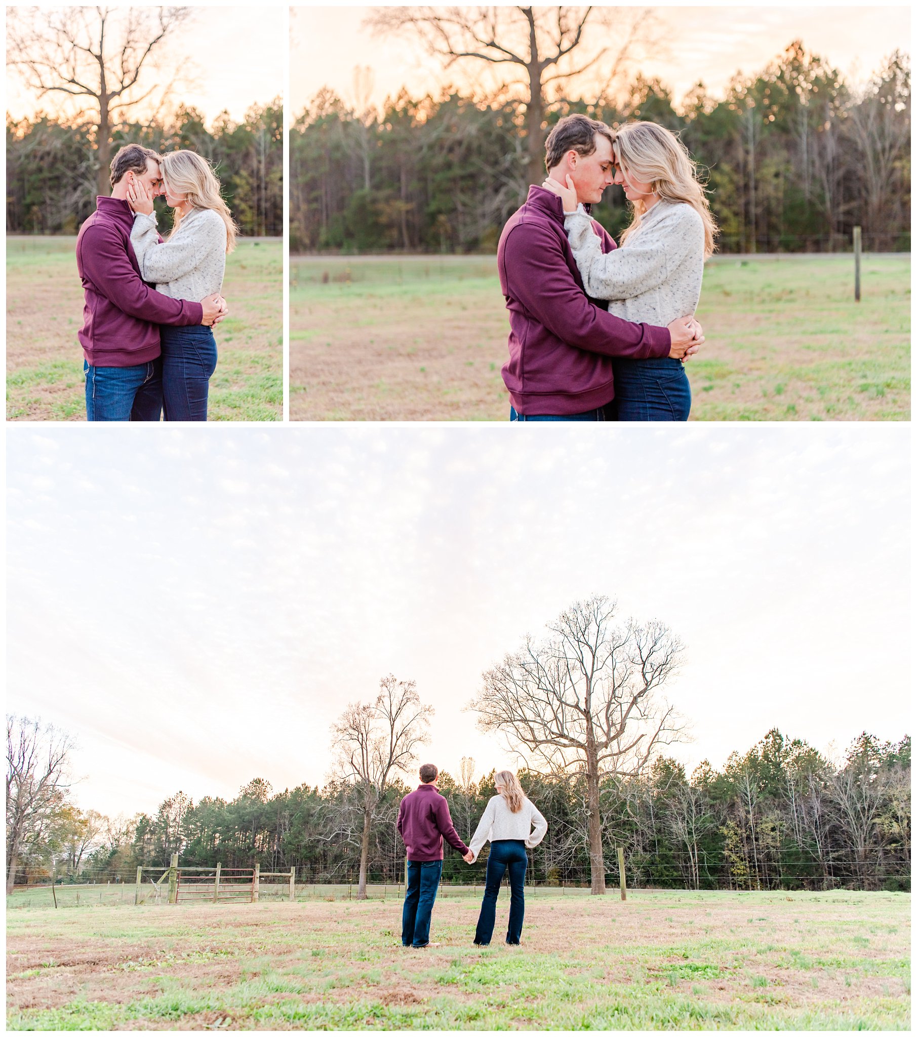 collage of a cattle farm engagement session