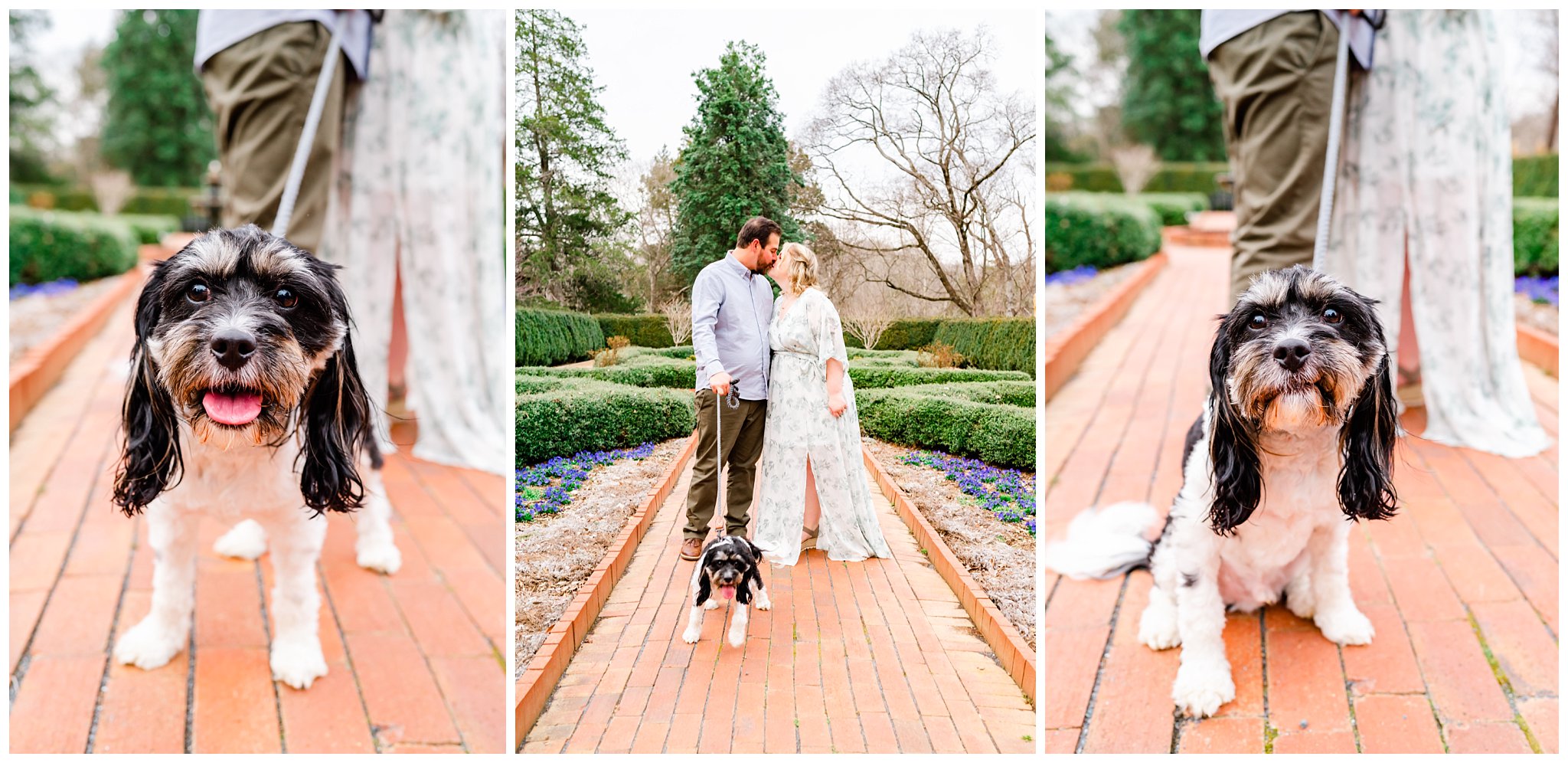 a couple and their small dog for their engagement session