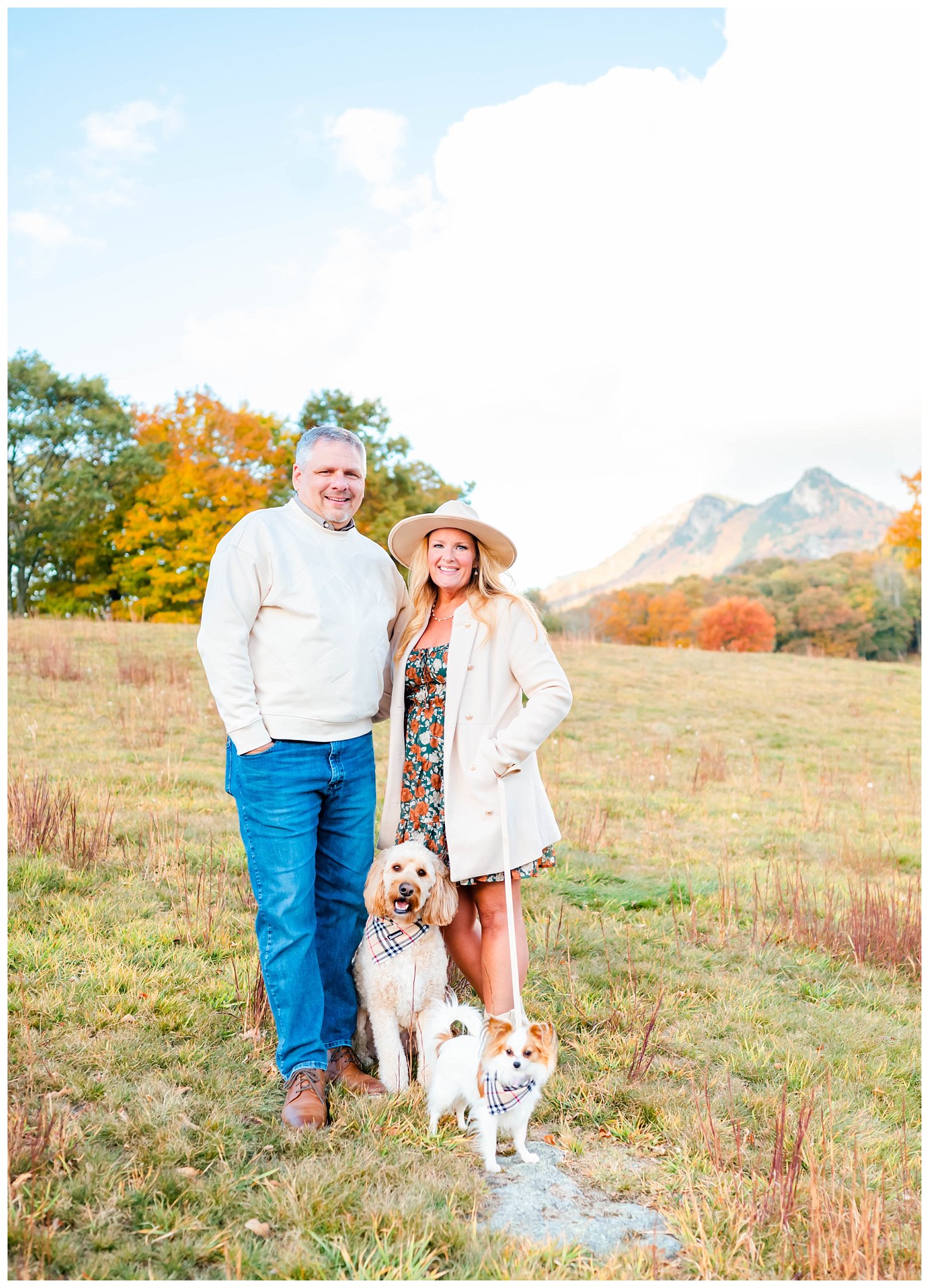 fall family session with dogs along the Blue Ridge Parkway