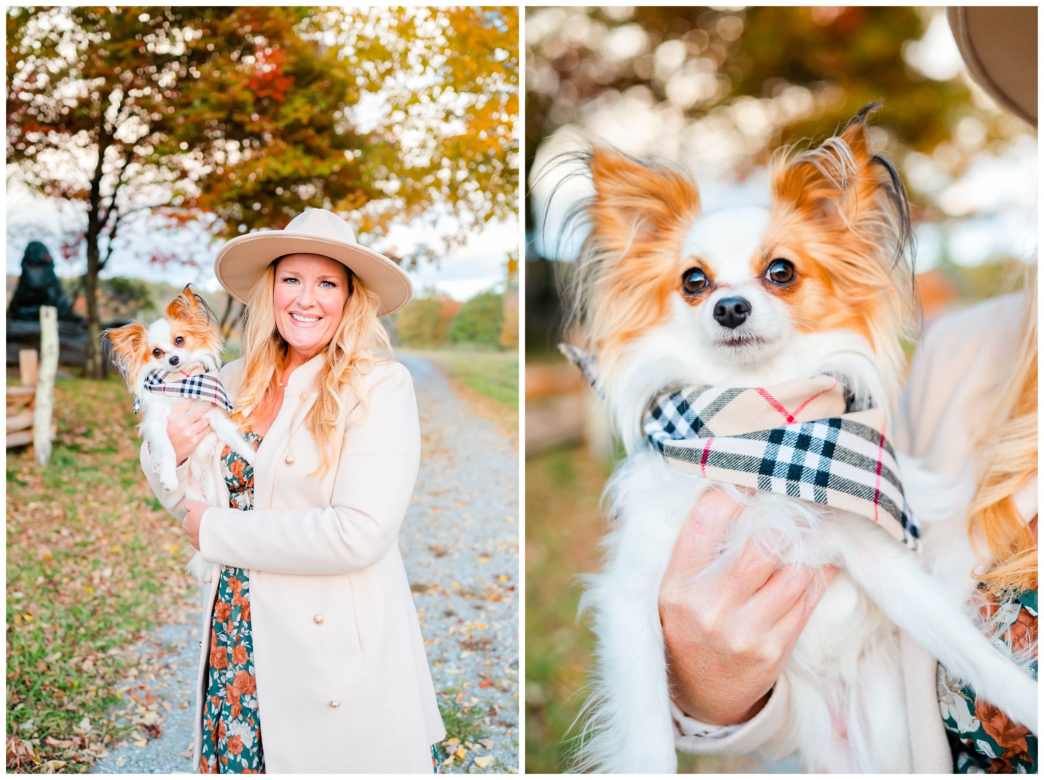 fall family session along the Blue Ridge Parkway